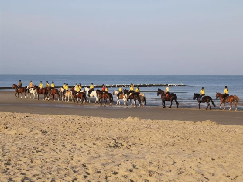 Strandurlaub Callantsoog LekkerNaarZee